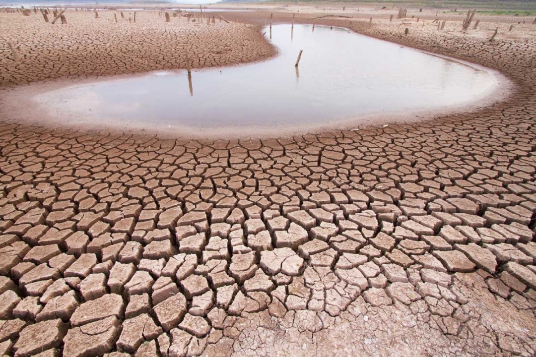 Drought in Kilinochchi brings misery to thousands