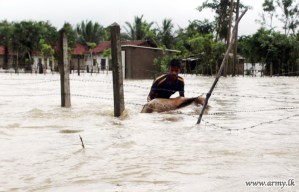 Hundreds of livestock killed in Northern floods