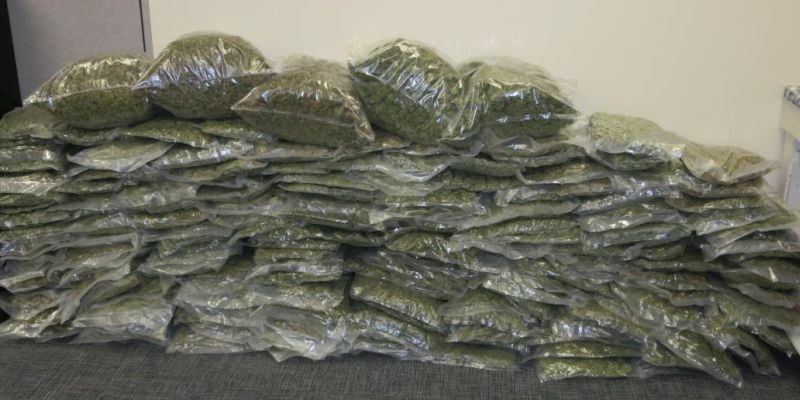 2 suspects arrested with 88kgs of K. Marijuana