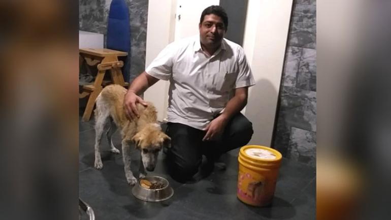 Dog saves Pune doctor's life after cardiac arrest, repaying him for his kindness