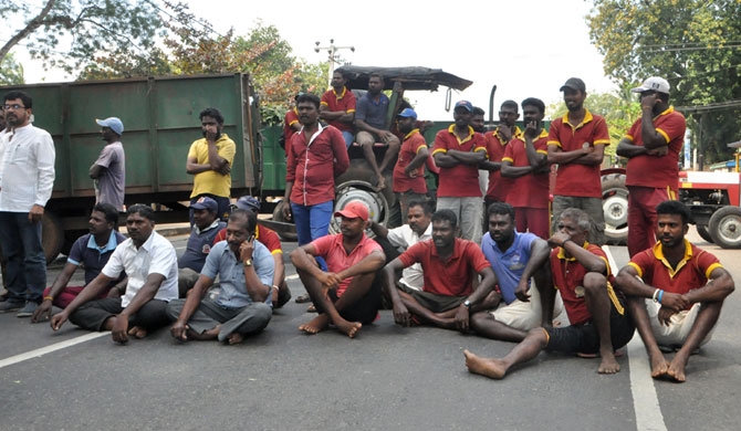 Vavuniya Municipality workers on strike