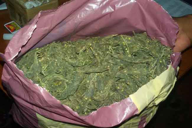 Two arrested while transporting Kerala Cannabis in Valvettithurai