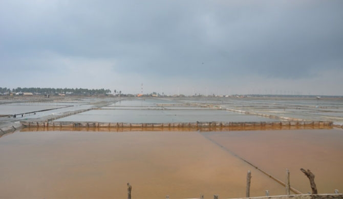 Salterns in Puttalam hit by torrential rains