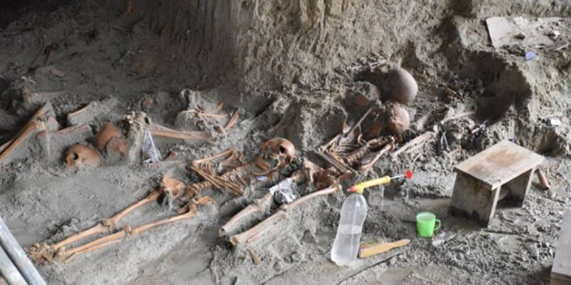 Mannar mass grave bone sample report released