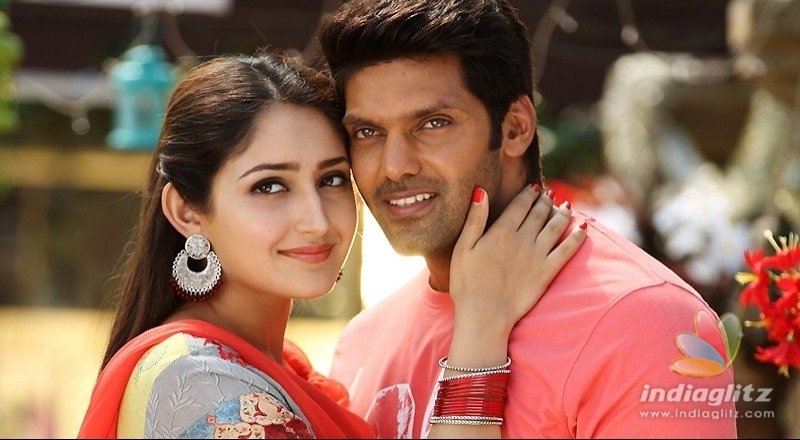 Sayyeshaa-Arya's is not love marriage