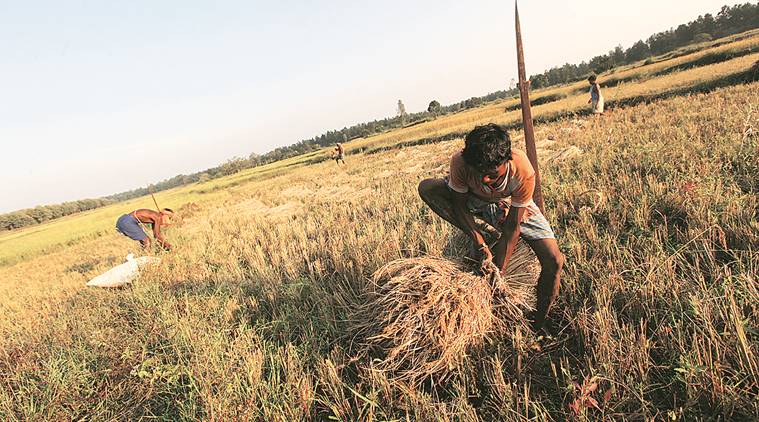 English Today’s Paper ePaper INDIA Advertising Rural distress deepens: Wage growth dips, non-farm jobs hit