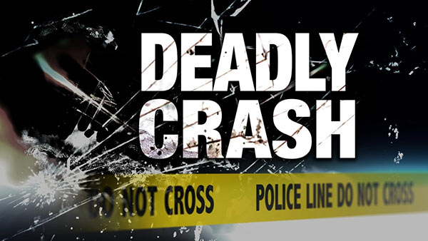 TEN INCLUDING CHILDREN KILLED IN VAN-BUS COLLISION