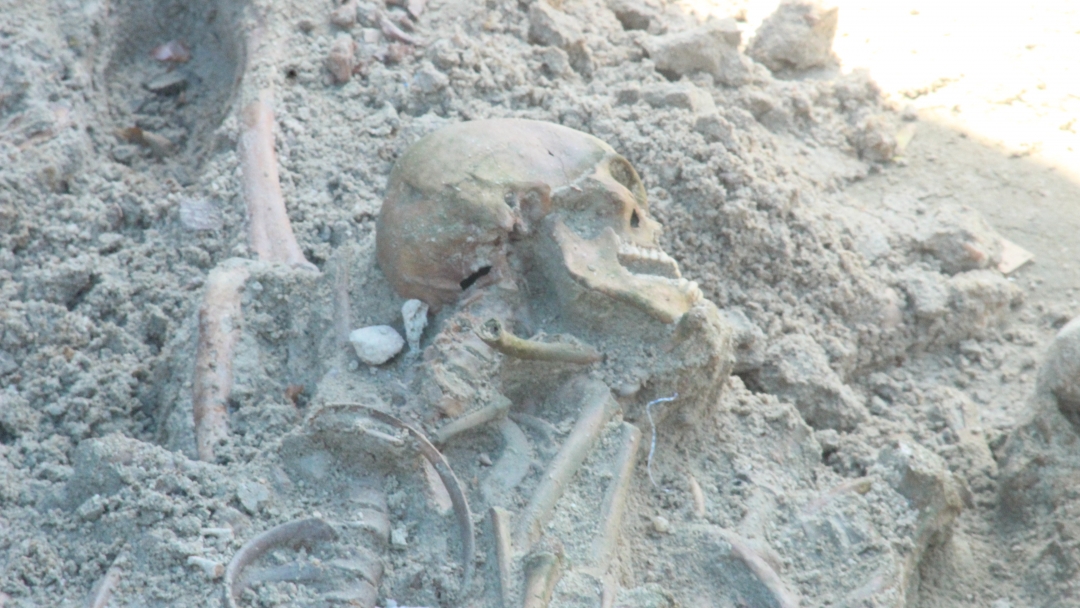 Mannar mass grave bones date to 1499-1719 AD