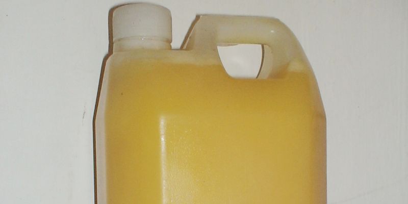 Animal fat marketed as Ghee sold in Colombo