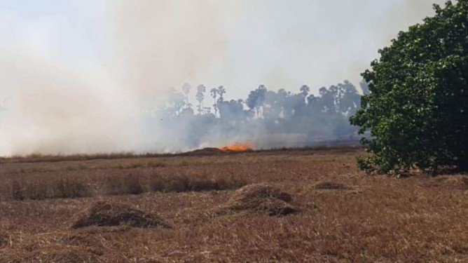 Field burnt due to high intensity of temperature in Karainagar!!