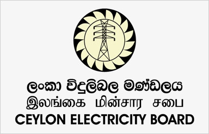 CEB TO SUFFER RS.100 BILLION LOSS THIS YEAR