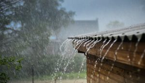 Hailstorm in Ooty; several parts of TN receive rain