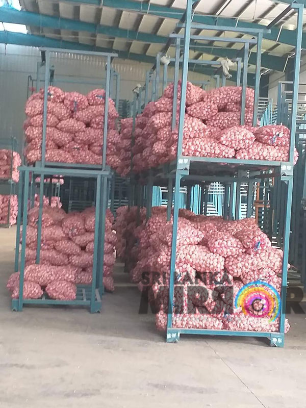 Signs of garlic price increase!