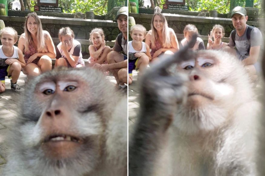 Most Epic Selfie Ever? This Monkey Just Photobombed a Family's Vacation Photo and It's Hilarious