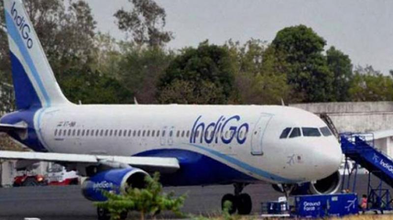 IndiGo pilot aborts take off at last minute in Bhopal; creates panic among passengers