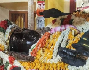 Srivilliputhur Jeeyar says do not bury Athi Varadar again in temple tank