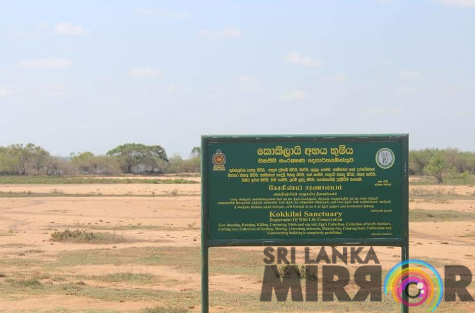 Allegations that government is stealing Tamil homeland to establish Sinhala settlements