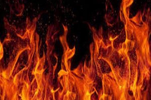 Newly-married woman burns hubby alive in Tamilnadu