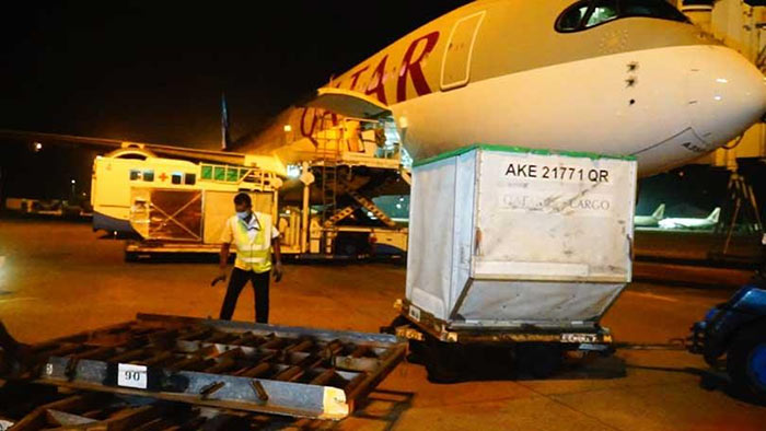 One more batch of Pfizer vaccines arrive Srilanka