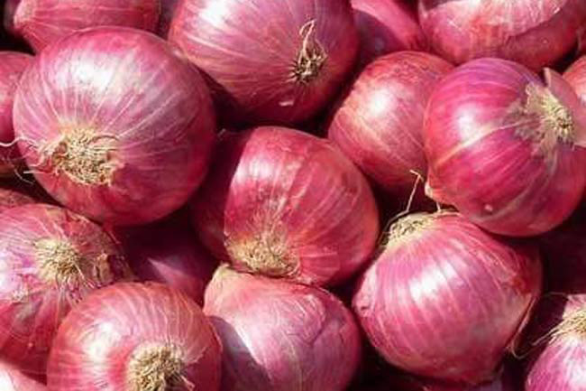 Import levy on Big Onions