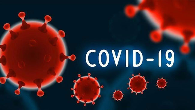 Another 184 COVID -19 deaths reported