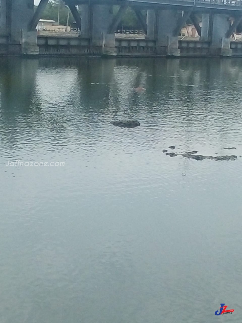 A dead body of a male found in J/Thonadamanaru lake!