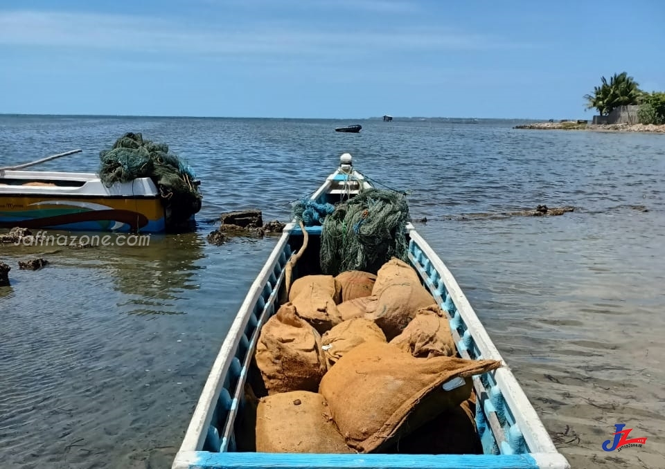 Police raid on Pashaiyur sea to seize 1300 kilo of turmeric! One arrested !!