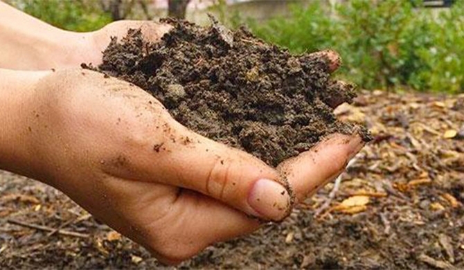 Imported Nano-Nitrogen fertilizer not organic –Federation of University Teachers’ Association