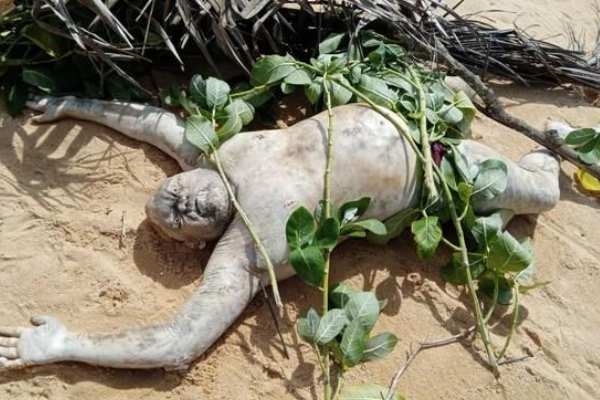 Dead bodies receding the shores of Jaffna !