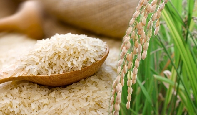 USD 200mn credit line from Pakistan to import of rice