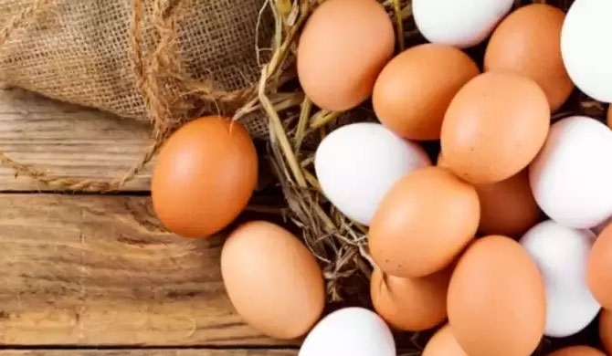 Egg & chicken prices to dip after allowing Maize imports?