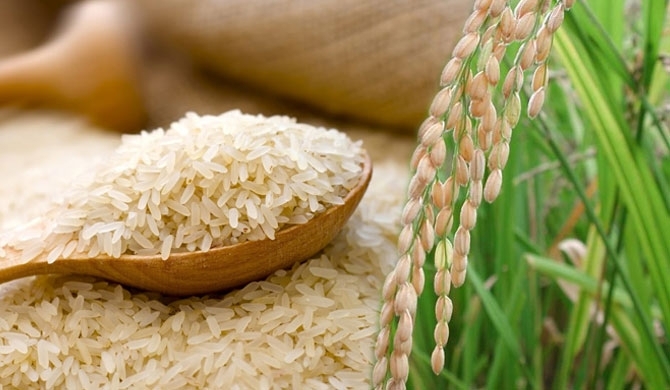 Is the Chinese rice stock organic?