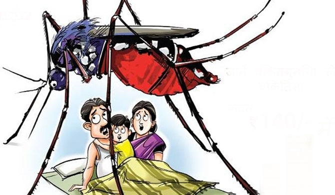 Dengue enters critical stage!