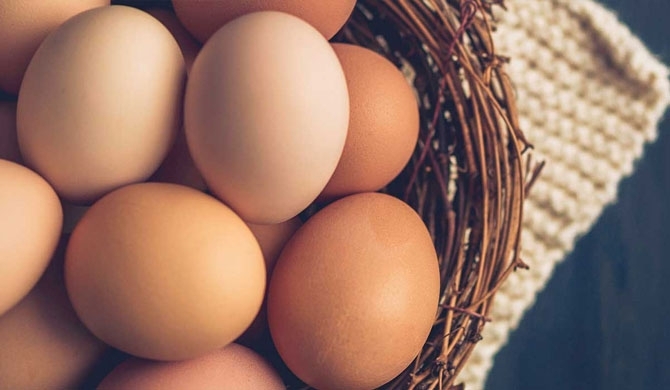 Eggs to reach Rs. 50 during festive season!