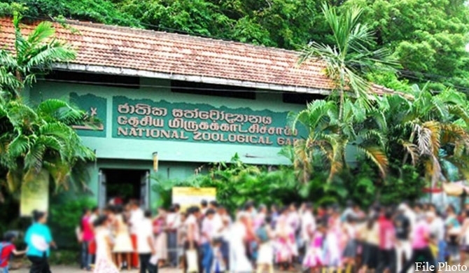 Petition to close down Dehiwala Zoo!