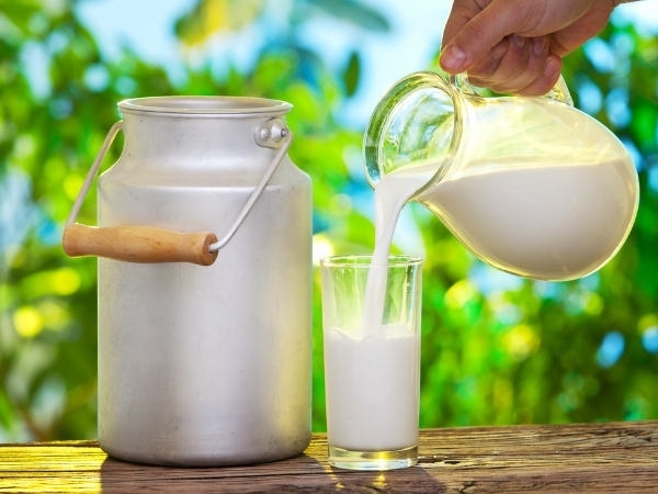 Milk price likely to go up in Jaffna District from May 1st !