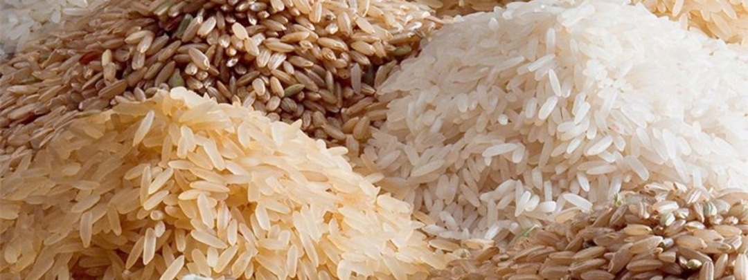 4,000 kg concealed rice stocks seized