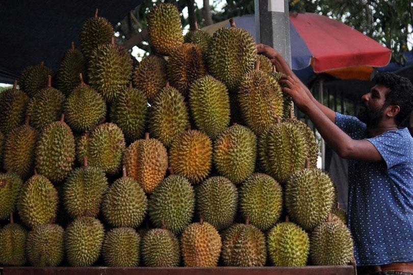 High fruit sales in Colombo