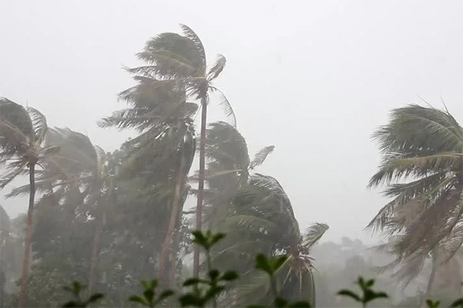 Showery, windy conditions expected to continue in parts of the island