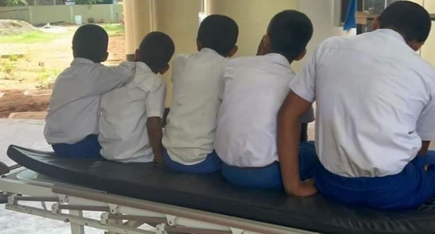 Wasp Attack: Over 40 school kids hospitalized in Vavuniya