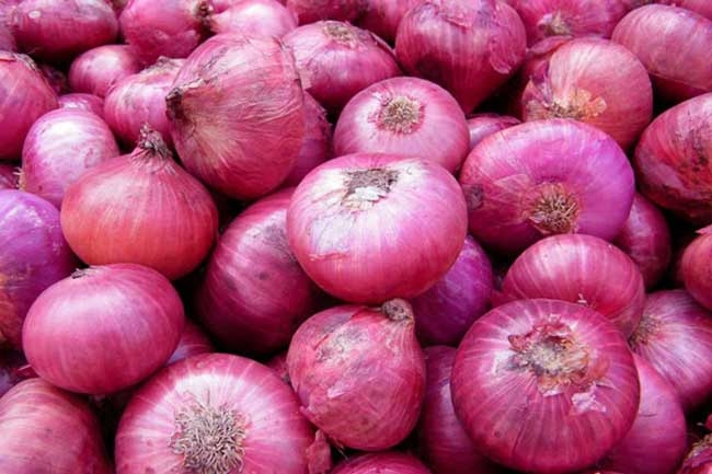 Big onion prices as special commodity levy rate reduced