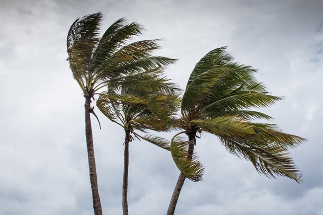 Spells of showers, fairly strong winds expected today