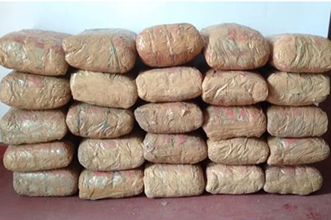 Over Rs. 20mn worth of cannabis found ashore on island in Jaffna- It is said that the consignment belongs to EPDP by locals of the area.