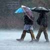 Heavy rain from February 1: Met. Dept.