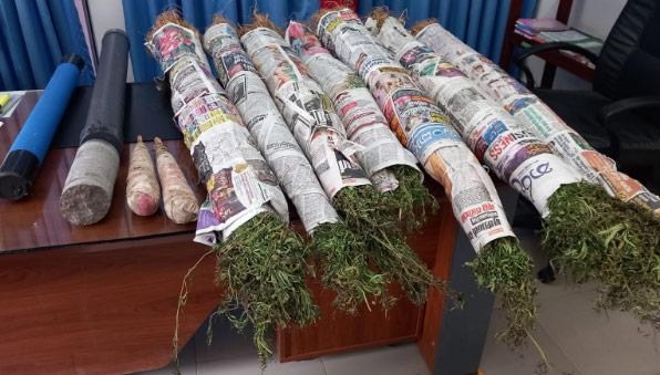 Moneragala SSP arrested with Ganja plants at his residence