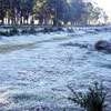 ​Ground frost possible in N’Eliya early morning: Met. Dept