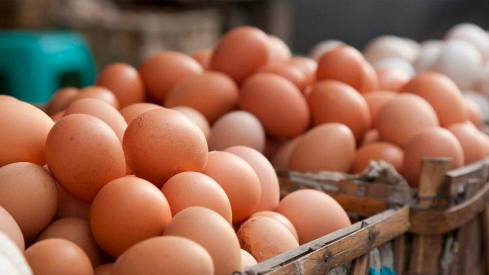 2 million imported eggs to reach Sri Lanka this weekend ! What a shame to import eggs from abroad!!