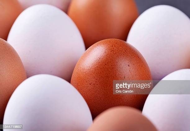 Imported eggs to be sold at Rs. 30 to food manufacturers