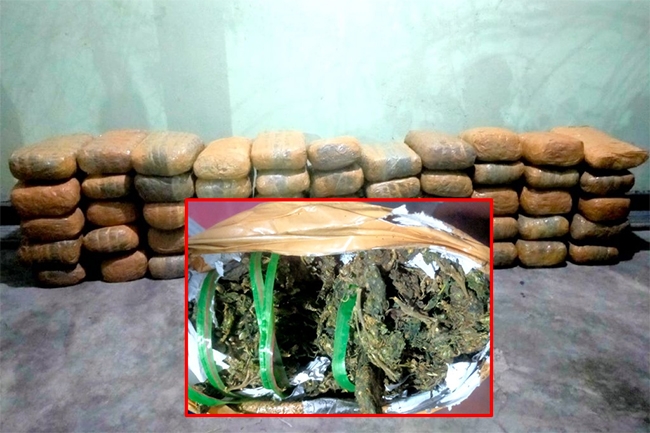 Kerala cannabis with street value of Rs. 41 Mn seized in Jaffna