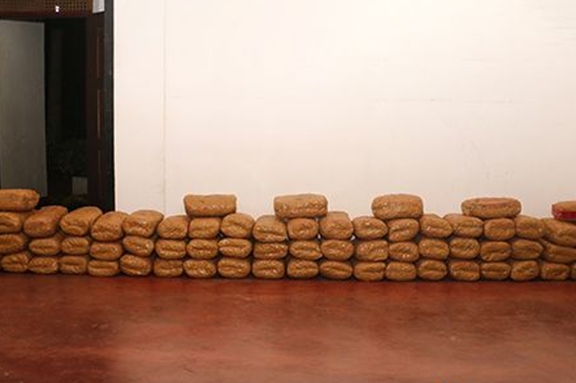 Kerala cannabis worth over Rs. 54 million seized in Jaffna